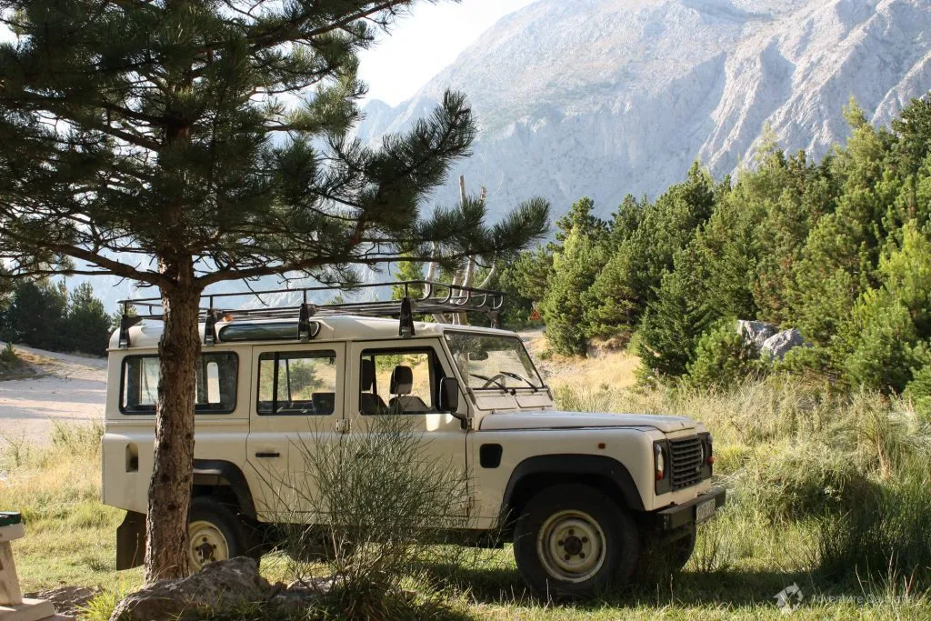 Grassy van in mountain scenery
