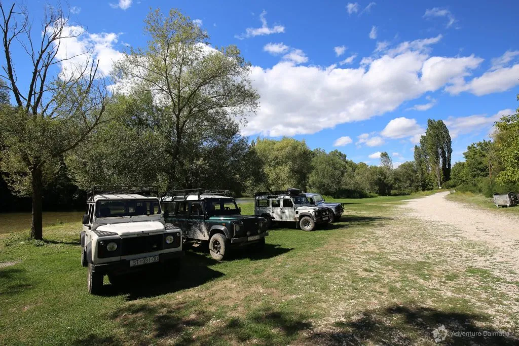 Party vehicles in sunny field