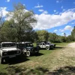 Party vehicles in sunny field