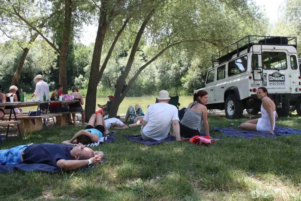 Picnic on grass near table