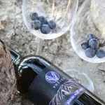 Wine and grapes by the sea