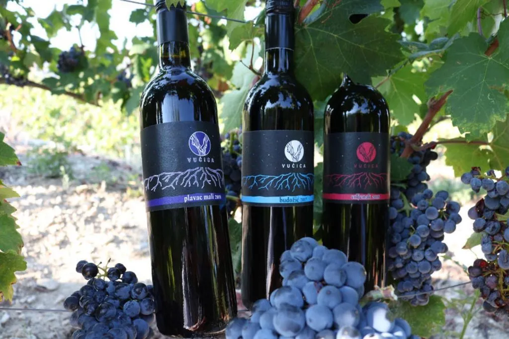 Wine bottles on sunny coast