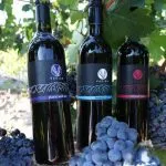 Wine bottles on sunny coast