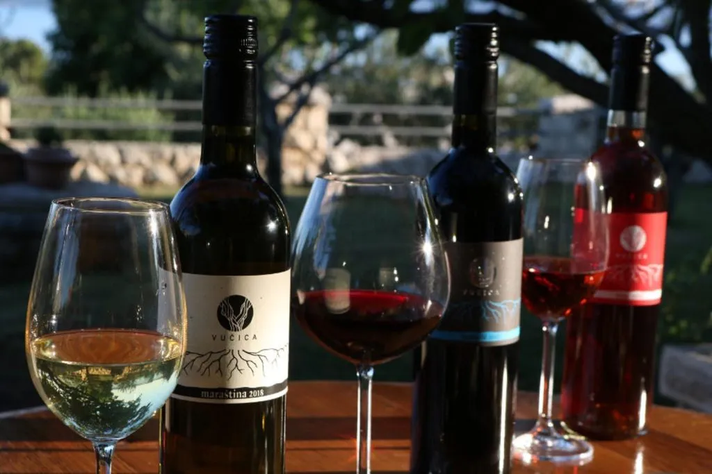 Wine tasting in split