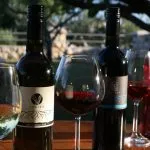 Wine tasting in split